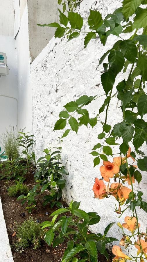 Μy Ηομε Apartment Chalkida Bagian luar foto